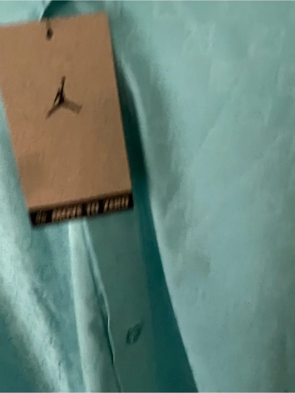 Jordan Light Aqua Men’s Casual Button Down Shirt and Shorts Set - Aqua